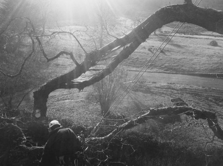 FB_IMG_1440954426235 (1)